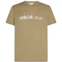 Icebreaker Merino 150 Tech Lite S/S Tee The Peaks Maglia merino Uomo (XXL, beige)