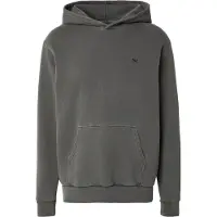 Iriedaily Vintage Dye Hoodie Felpa con cappuccio Uomo (L, marrone)