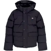 Dickies Piumino Uomo Glacier View Puffer Black