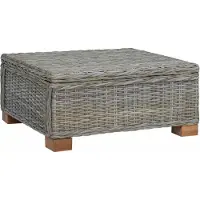 vidaXL Tavolino da caffè GENDT, rattan naturale Kubu, grigio, 67 x 60 x 30 cm