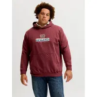 Jack&Jones PLUS Plus Size Felpa Con Cappuccio Con Logo