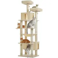 StarTech.com Torre per arrampicata per gatti Kratzbaum - Albero per gatti XL - Altezza 205 cm - Doppie cuccette - Amaca e aree relax extra grandi - Pali per graffiare - Adatto per gatti di grossa taglia