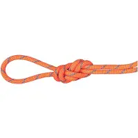 Mammut 7.5 Alpine Sender Dry Rope Mezza corda (60 m, bianco)