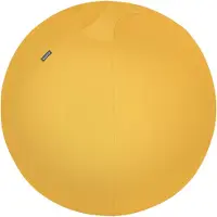 Leitz Palla Da Seduta Antiscivolo Active 65 Cm
