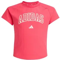 Adidas Girl's Sport Seasonals Collegiate Typography Tee T-shirt Bambini (170, fuchsia)