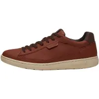 Timberland Sneaker bassa marrone