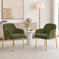Flieks Set di 2 sedie da pranzo con braccioli, regolabili in altezza, imbottite, ideali per la sala da pranzo, la cucina. Dimensioni: 61x59x78,5 cm. Colore: verde