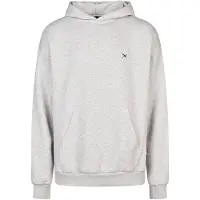 Iriedaily Flagloose Hoodie Felpa con cappuccio Uomo (L, grigio)