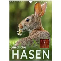 CALVENDO Coniglietti adorabili (calendario da parete 2024, formato DIN A4 verticale), : calendario mensile con immagini suggestive di questi timidi animali. (Animali)