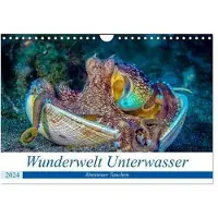 CALVENDO Wunderwelt Unterwasser (Calendario da parete 2024, formato A4 orizzontale), : Calendario mensile con immagini di immersioni a Moalboal, nelle Filippine (- Animali)