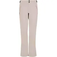 Protest Women's PRTRelole Snowpants Pantaloni da sci Donna (36, grigio)