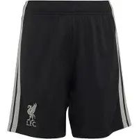 Adidas Pantaloni sportivi 'FC Liverpool 26/27' grigio chiaro / nero