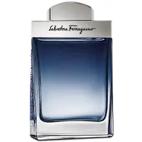Salvatore Ferragamo Subtil Pour Homme - EDT - Volume: 100 ml