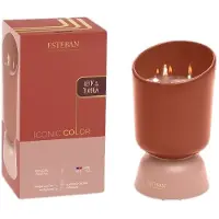 Esteban Candela profumata con tre stoppini Teck & Tonka Iconic Color 700 g