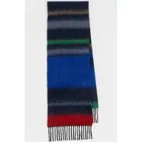 Paul Smith Men Scarf Anto Fuzy Strp Navy Taglia: OS | Sciarpe Outlet | Uomo | Blu