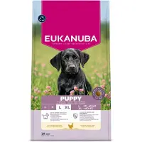 Eukanuba Premium Nutrition Puppy Large & Giant Breed Chicken - croccantini per cani - 18 kg