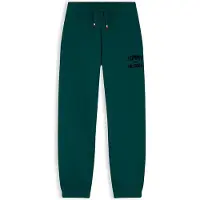 Tommy Hilfiger Pantaloni 'Brand Love' abete