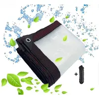 Merkloos Telo impermeabile trasparente con occhielli, 3 x 5 metri