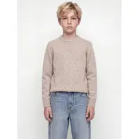 Jack & Jones Kids Junior Pullover 'JJESoho Ollie' greige