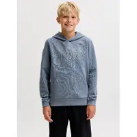 JACK&JONES JUNIOR Felpa Con Cappuccio Con Logo Boys