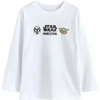Next Maglietta 'Mandalorian' camello / menta / nero / bianco