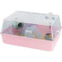 Ferplast Gabbia DUNA Mini Criceto 55x39x27cm criceto mix di colori FP