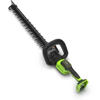 Greenworks Potatore elettrico a batteria HT2202D, 24V
