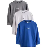 Ted Baker Maglietta blu / grigio scuro / bianco naturale