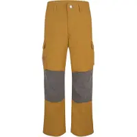 TROLLKIDS Kid's Trollheimen Pants Pantaloni da trekking Bambini (122, marrone)