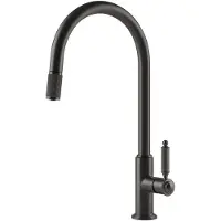 Gessi 60622, Modello standard, Nero, Maniglia a leva, Autochiudente, Tipo J, 360°