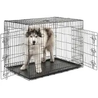 Lionto gabbia da trasporto per animali , gabbia pieghevole in metallo con parete divisoria, base in plastica e chiusura di sicurezza, 106x71x77 cm