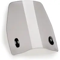 Puig Parabrezza Askoll Es3/es2 Evo Urban 21986h