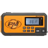 Pni Radio Portatile Dyn300