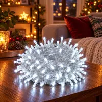 Rosikey 30M 300LEDs 8 modalità di luci fiabesche potenza, timer, funzione di memoria, LED Natale luci fiabesche festa decorazione luce albero di Natale illuminazione giardino, bianco