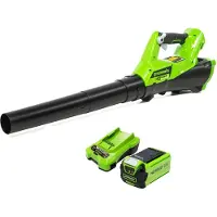 Greenworks Soffiatore elettrico G40AB con batteria 40 V 2 Ah 2400807UA