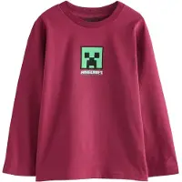 Next Maglietta 'Minecraft' verde / bacca / nero / bianco