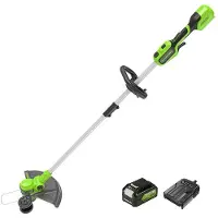 Greenworks Tagliabordi a batteria da 24V, ideale per giardini di piccole e medie dimensioni, con una larghezza di taglio di 30 cm