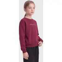 Kids Only GIRLS Felpa 'KOGELFIE' verde scuro / rosa / mirtillo / bianco