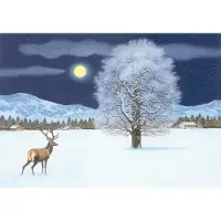 Sonstige Verlage Calendario dell'Avvento: una magica notte invernale