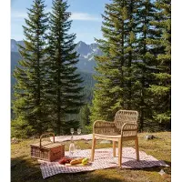 AEA Elegante sedia da giardino Sedia di design in rattan Lussuosa poltrona da terrazza