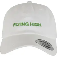 Mister tee Cappello da baseball ' Flying High ' verde / bianco