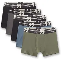 Sanetta Pantaloncini intimi opale / grigio scuro / oliva / nero