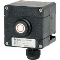 Ceag Pulsante - Dispositivo di controllo IP66 Combinazione GHG4118100R0001