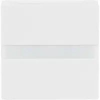 Busch-Jaeger 64765-84 Komfortschalter flex Orientierungslicht (2CKA006800A2888)
