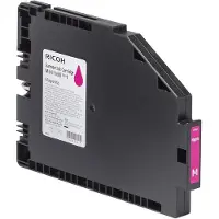 Ricoh Imaging Cartuccia Di Inchiostro Ad Alta Capacità Di Tipo 1 Per Indumento 257061