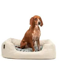 Lionto lettino per cani , accogliente letto per cani con cuscino reversibile e rimovibile, base antiscivolo, 80x60 cm, beige