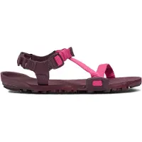 Xero Shoes Women's Z-Trail EV Scarpe barefoot Donna (39,5, lilla)