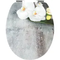 Cornat Sedile per WC Art of Acryl, MDF, ovale, con chiusura ammortizzata, KSDSC309
