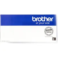 Brother D00v9p001 Fuser