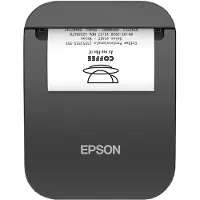 Epson Stampante Per Foto Tm-p20ii